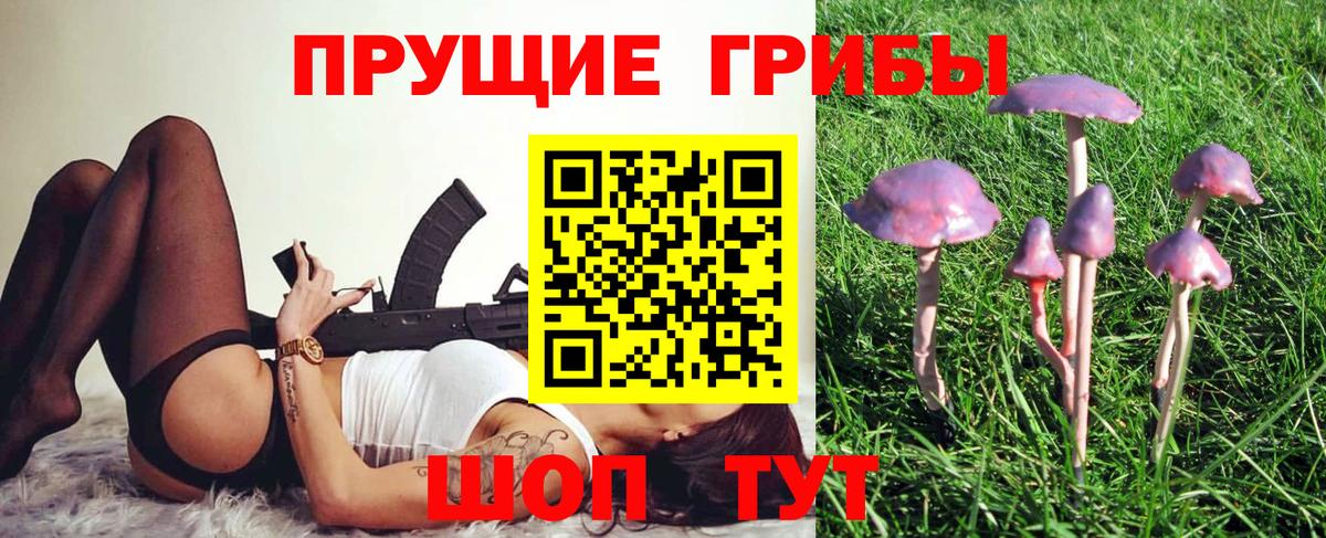 Галлюциногенные грибы Magic Shrooms  Вход с VPN  Галлюциногенные грибы Psilocybe  Холмск 