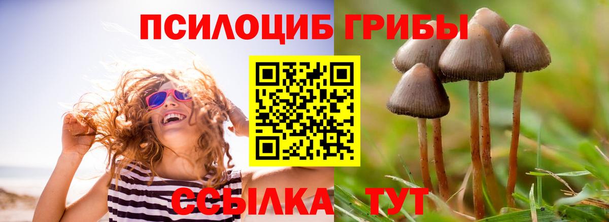Сколько стоит  МЕФ   Лсд 25  Конопля  Вход с VPN  Холмск  Гашиш 